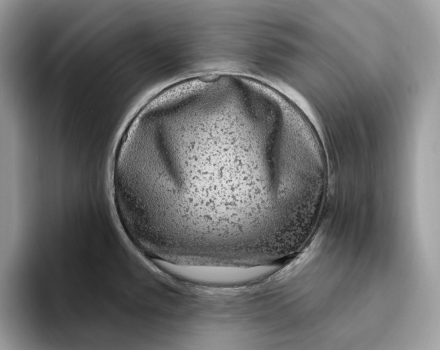 X0000093481389200711091618