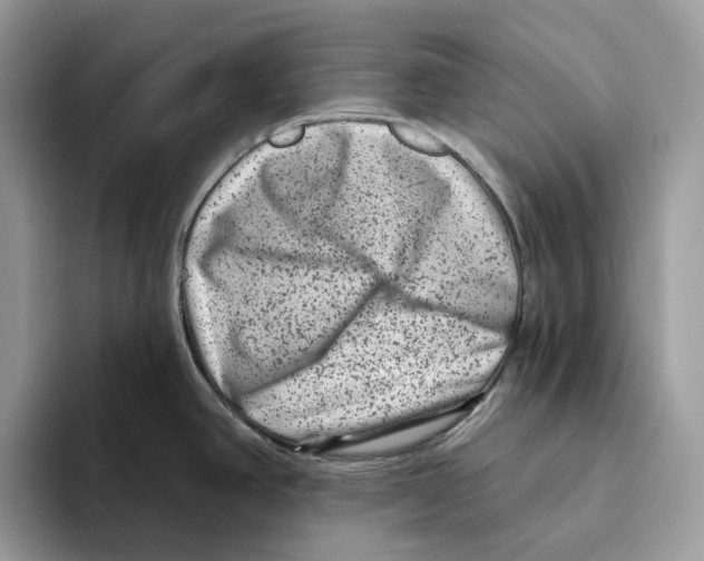 X0000093481390200711091618