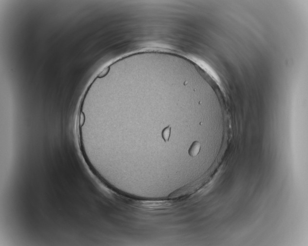 X0000093481391200711091618