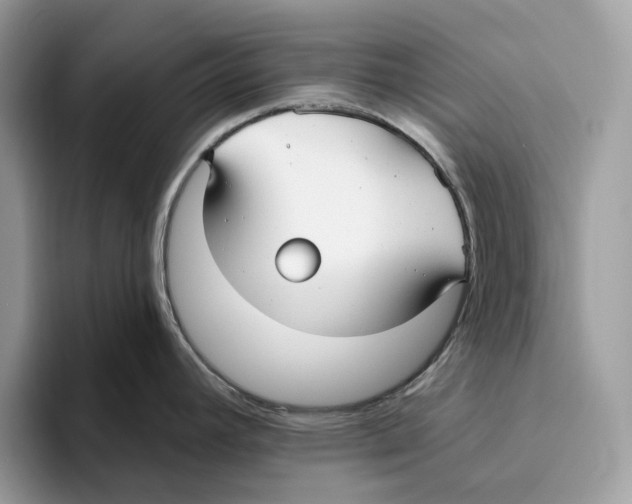 X0000093481392200711091618