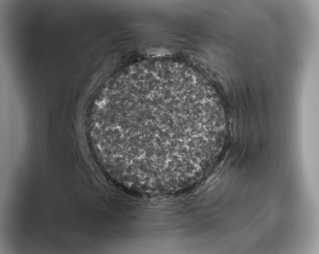 X0000093481393200711091617