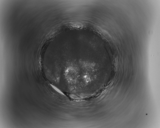 X0000093481394200711091617