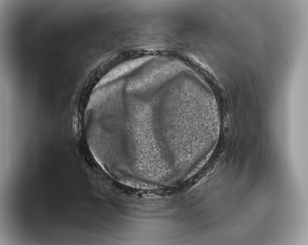 X0000093481398200711091617