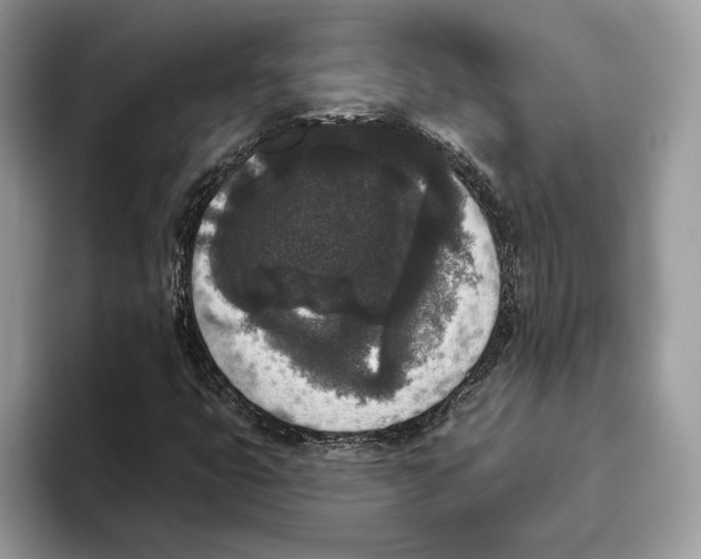 X0000093481399200711091617