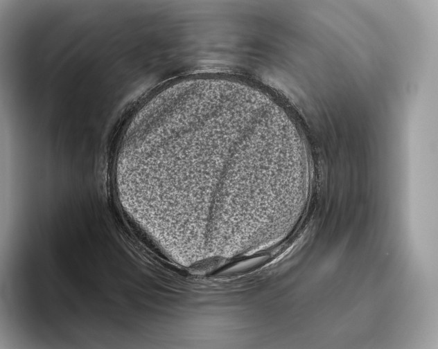 X0000093481403200711091618