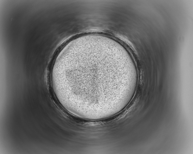 X0000093481404200711091618