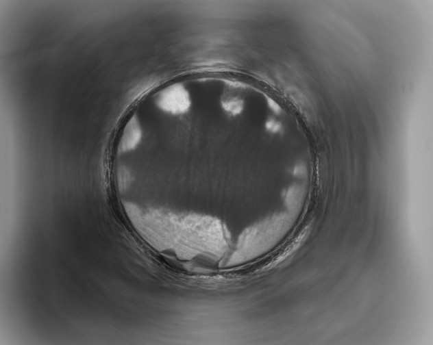 X0000093481405200711091618