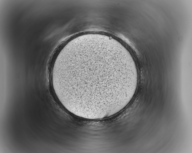 X0000093481408200711091618