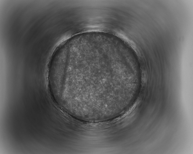 X0000093481411200711091618