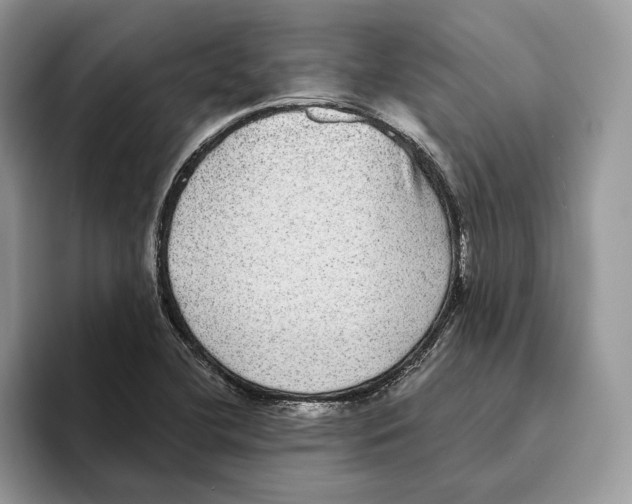 X0000093481412200711091618