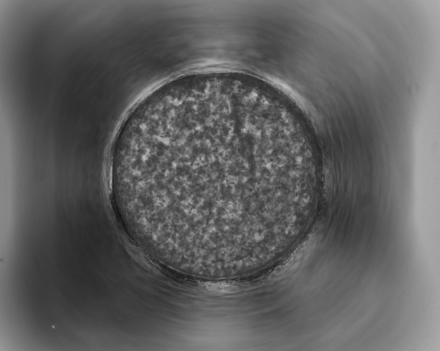 X0000093481413200711091618