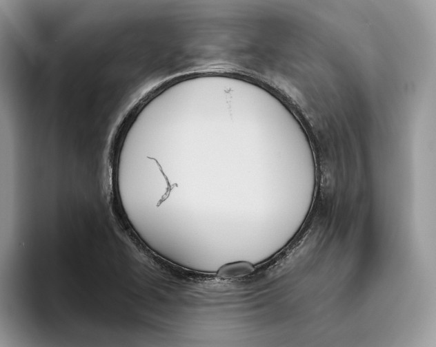 X0000093481414200711091618