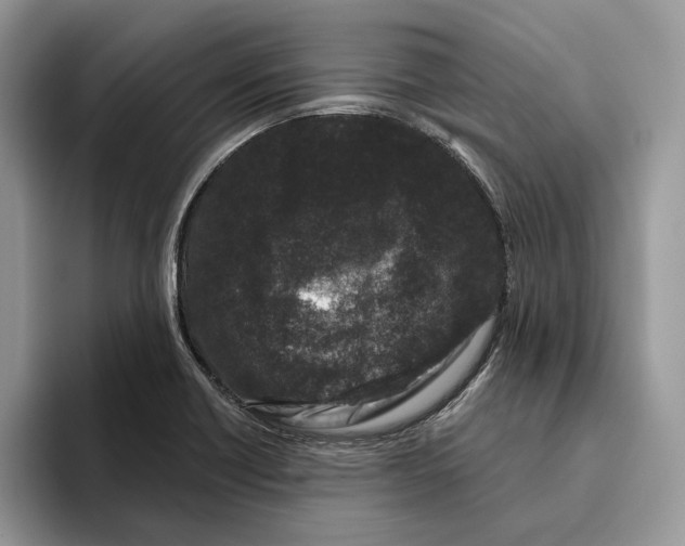 X0000093481418200711091618