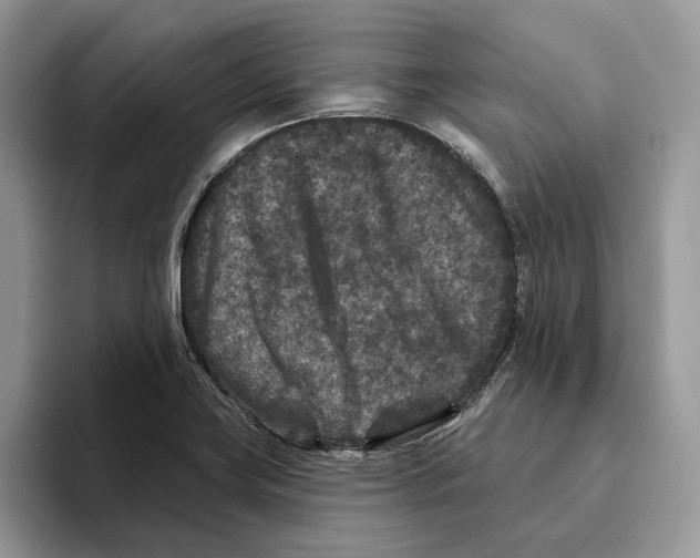 X0000093481419200711091618