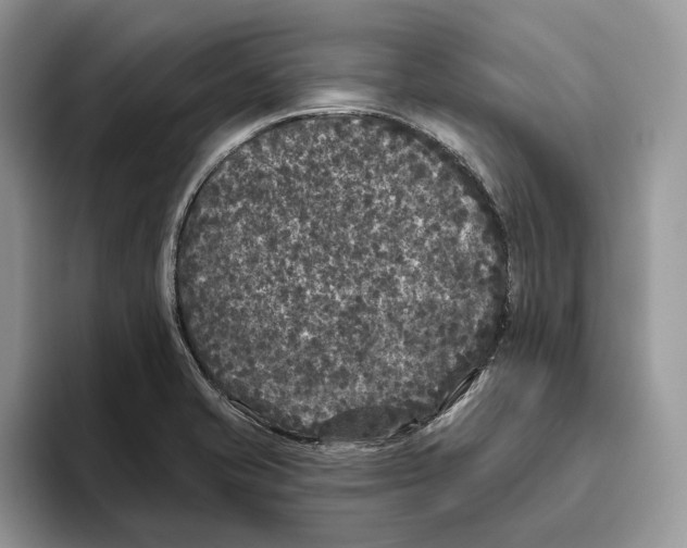 X0000093481421200711091618