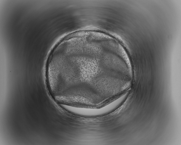 X0000093481422200711091618