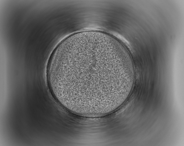 X0000093481423200711091618