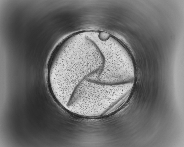 X0000093481424200711091618