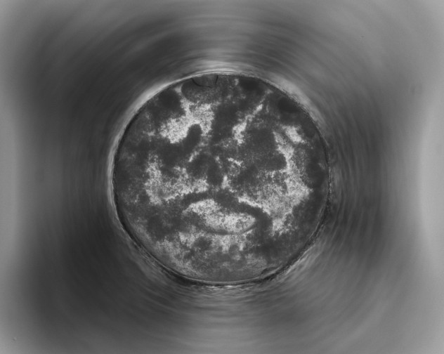 X0000093481427200711091618