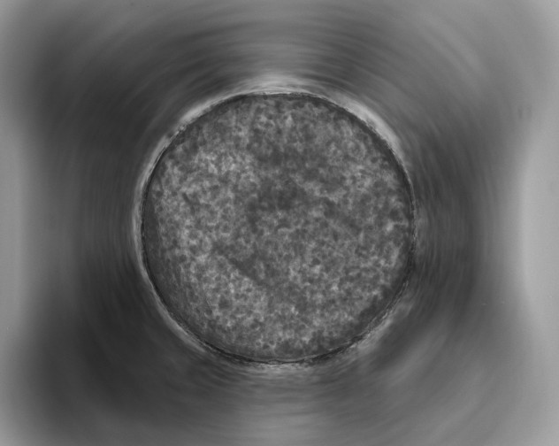 X0000093481429200711091618