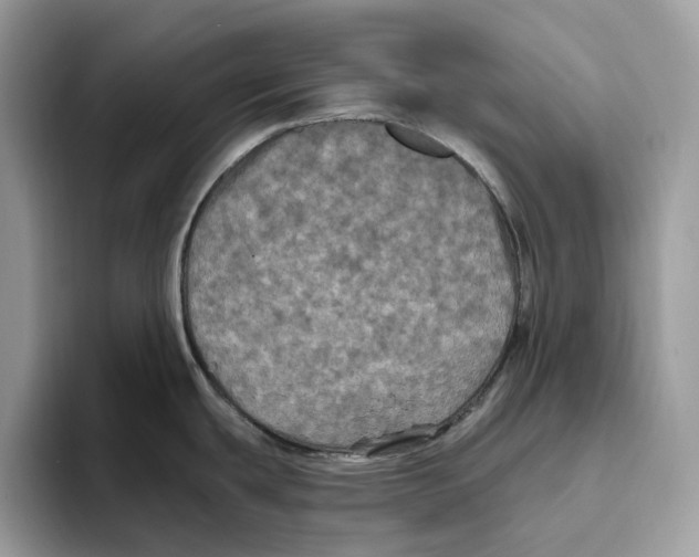 X0000093481439200711091618