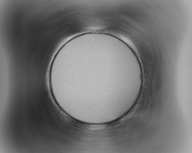 X0000093481440200711091618