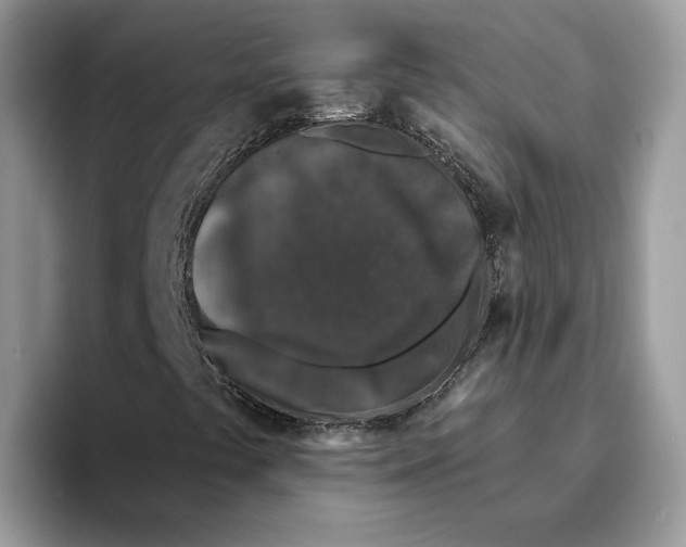 X0000093481441200711091617