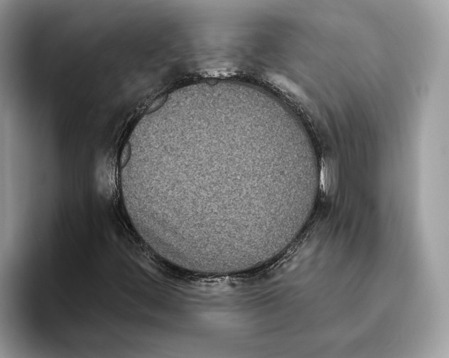 X0000093481444200711091617