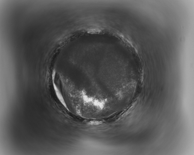 X0000093481445200711091617