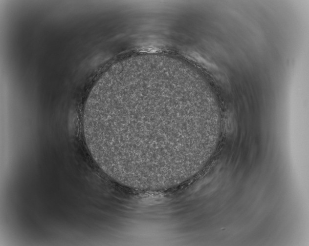 X0000093481446200711091617