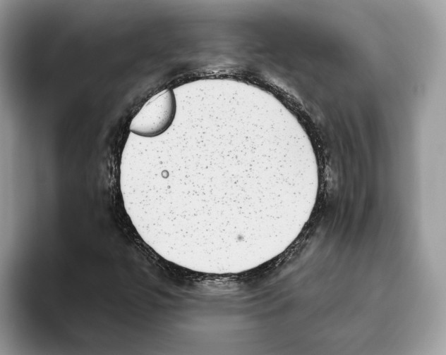 X0000093481447200711091617