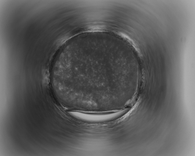 X0000093481449200711091617