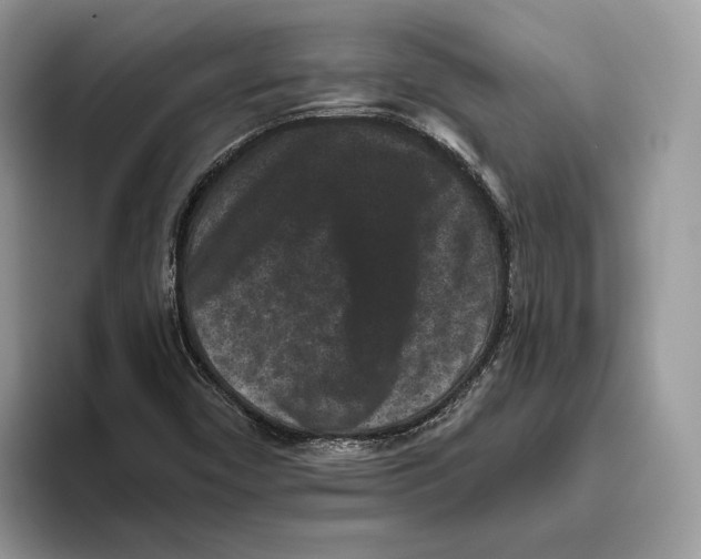 X0000093481450200711091617