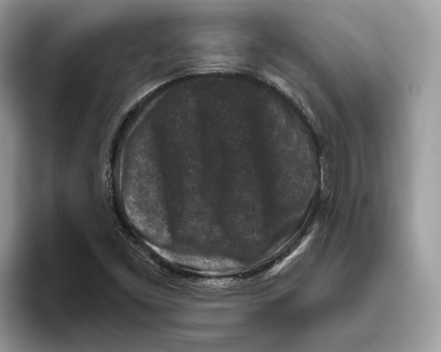 X0000093481453200711091617