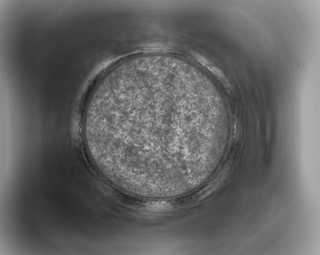 X0000093481454200711091617