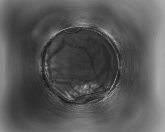 X0000093481455200711091617