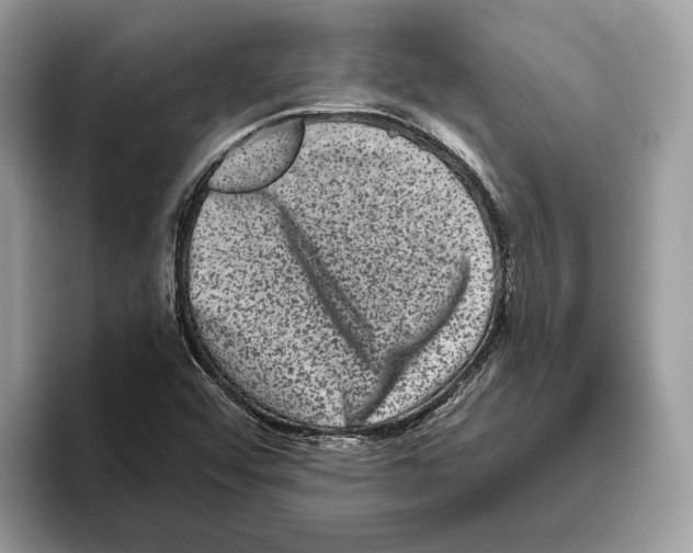 X0000093481456200711091617