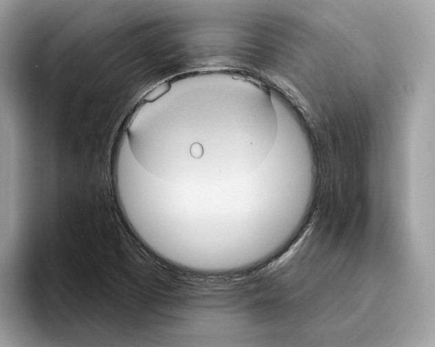 X0000093481457200711091617