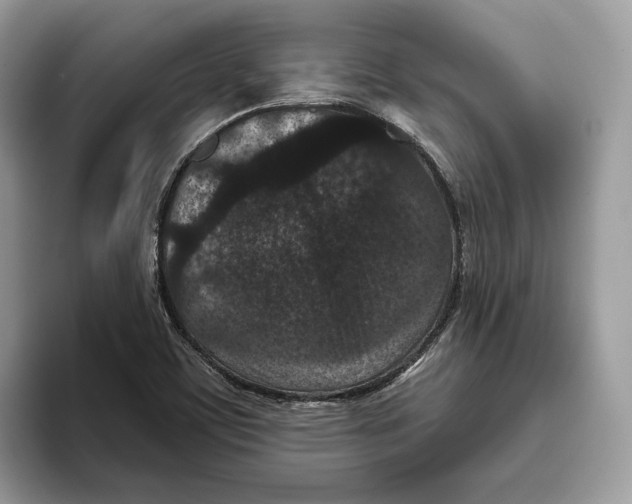 X0000093481459200711091617