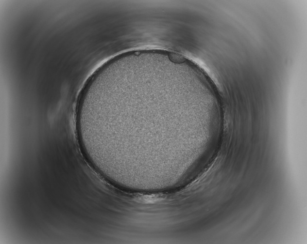 X0000093481460200711091617