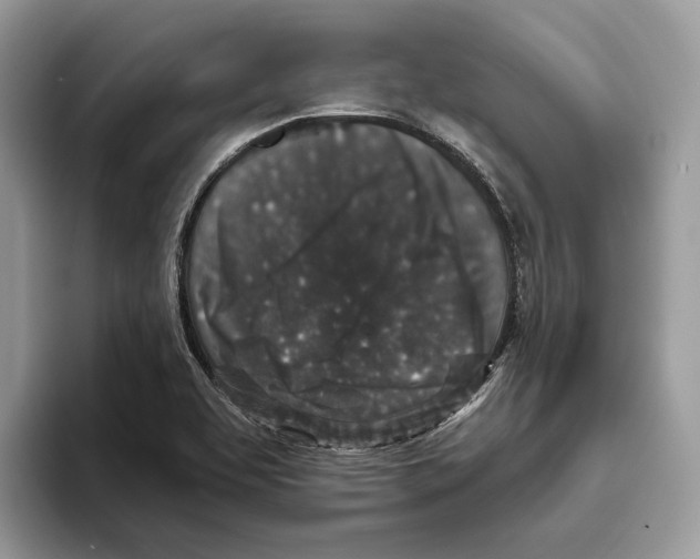 X0000093481463200711091617