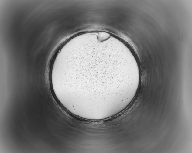 X0000093481464200711091617