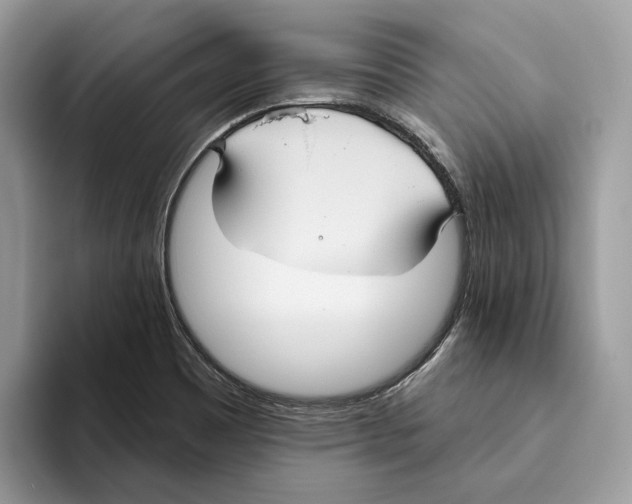 X0000093481465200711091617