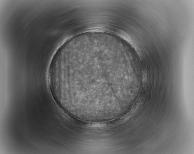 X0000093481466200711091617