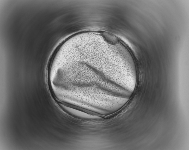 X0000093481468200711091617