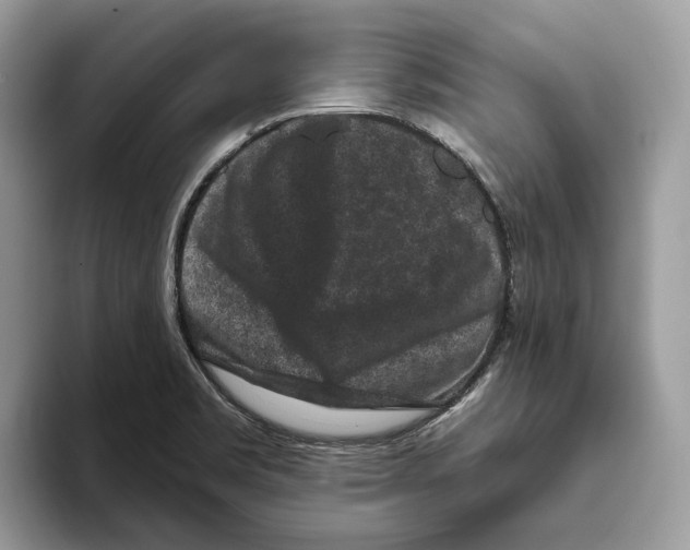 X0000093481469200711091617