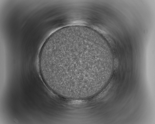 X0000093481470200711091617