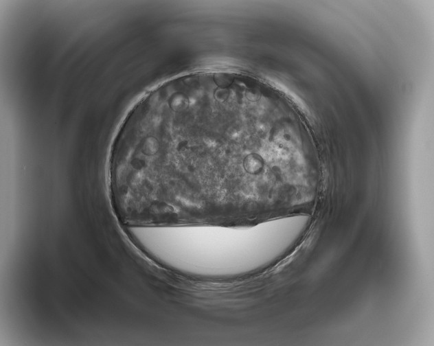 X0000093481471200711091617