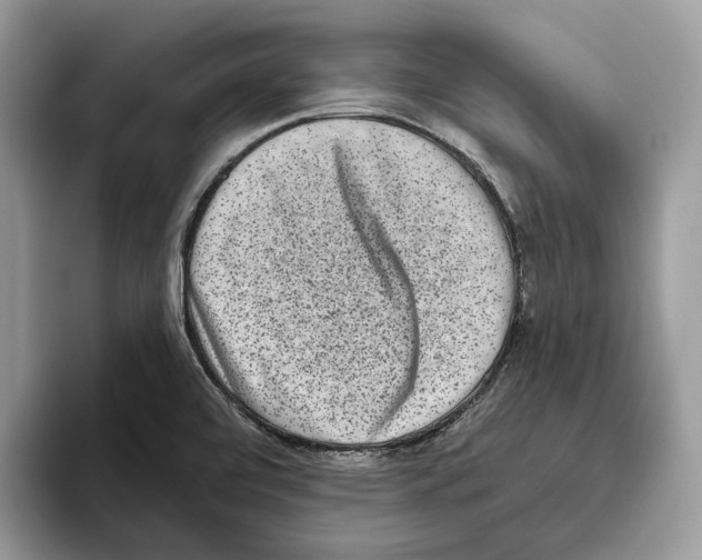 X0000093481472200711091617