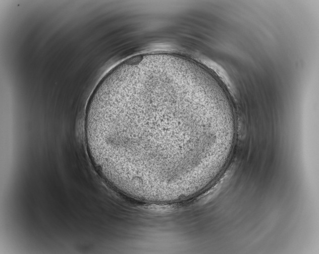 X0000093481473200711091617